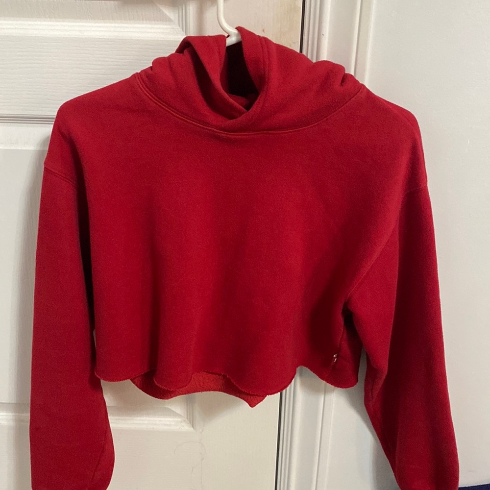 Aritzia Cropped TNA Hoodie
